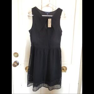 NWT American Eagle Little Black Dress Size 2